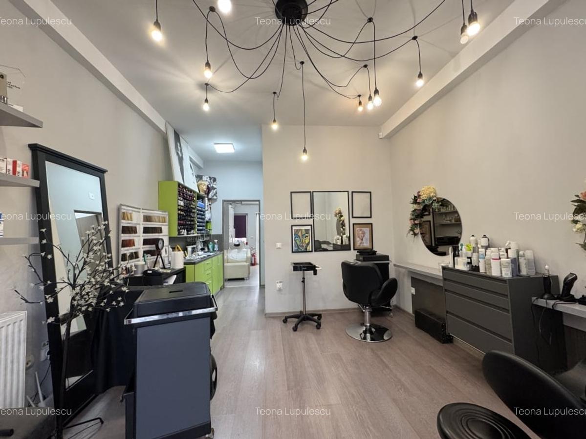 Spatiu comercial cu terasa si parcare – Strada Crizantemelor, Zona Iosefin - 5