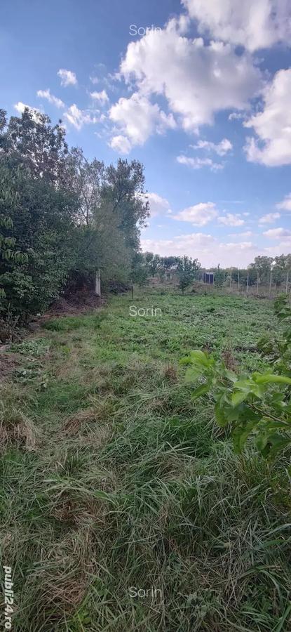 Casa locuibila in Che?a! - 5