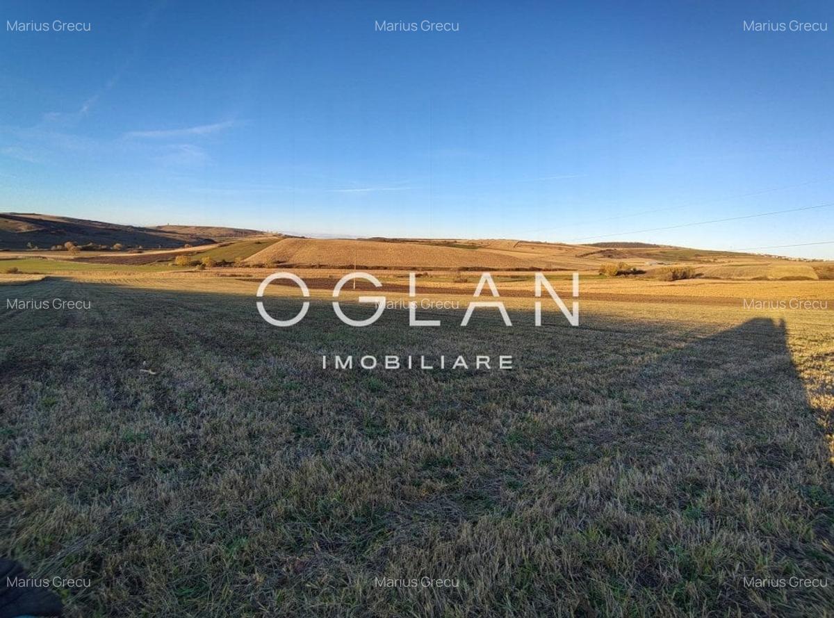 Teren intravilan cu PUZ pentru investitie - 26.100 mp - Sura Mare - 2