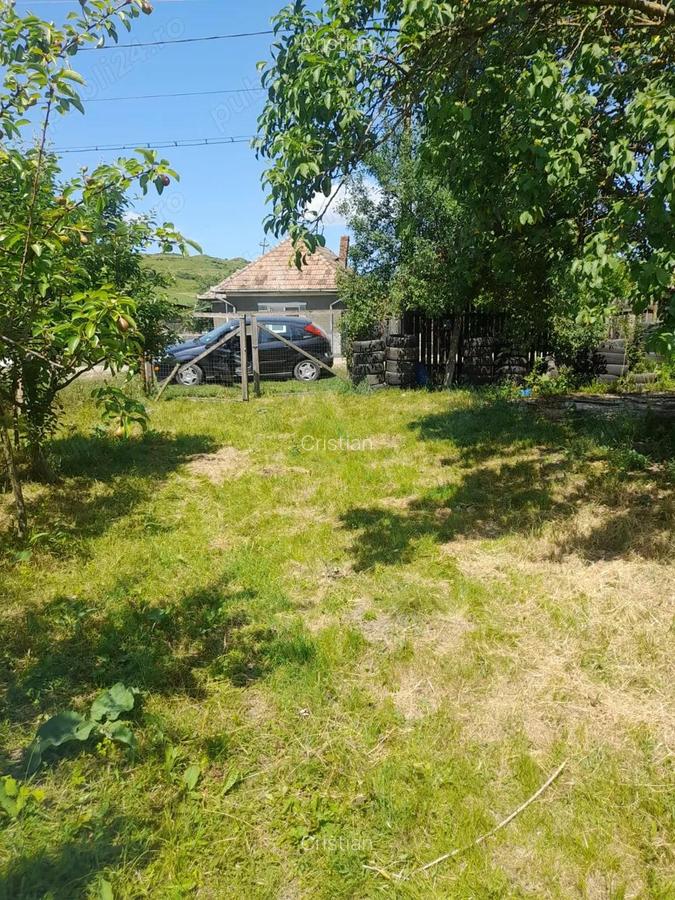 Persoana Fizica vand Teren Cluj - Borsa Catun - Intravilan 2300 mp - Extras CF - Cabana - Foisor - 1