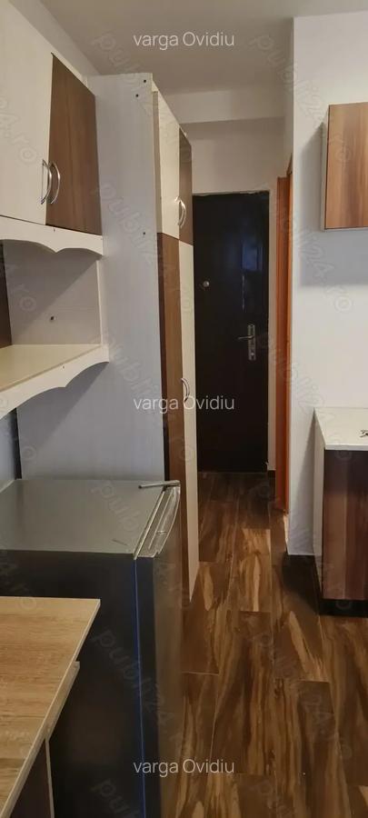 Proprietar, zona Aradului - 3