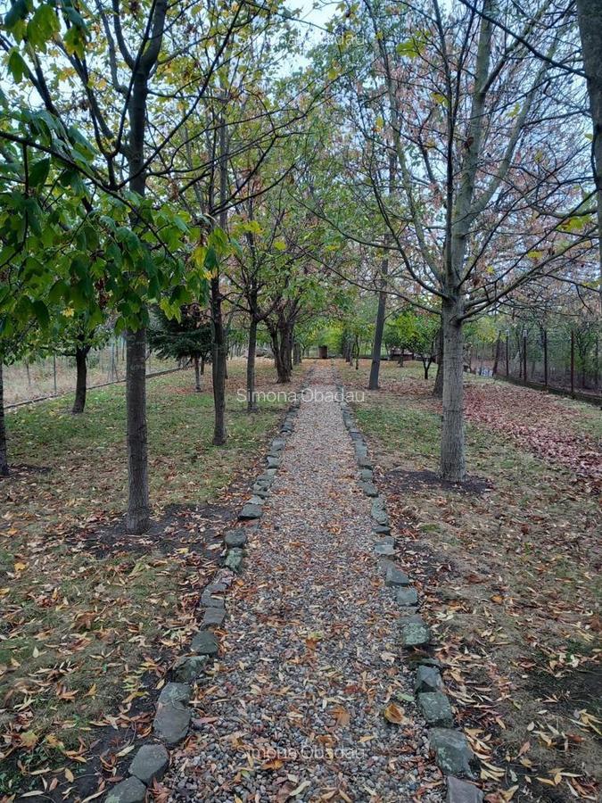 Casa de vanzare Gradiste - 7