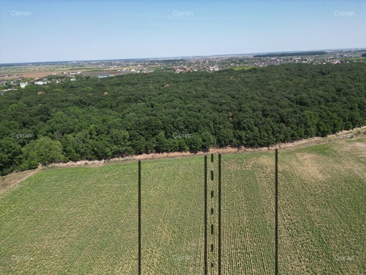 Teren intravilan langa padure Corbeanca Park - 6