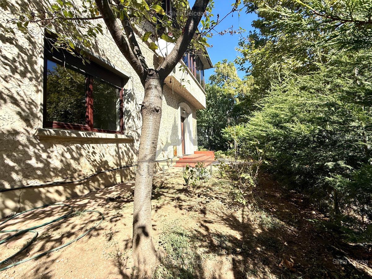 Vila de vanzare in cartierul Primaverii ideala pentru investitie - 25 Vila de vanzare in cartierul Primaverii ideala pentru investitie - 25