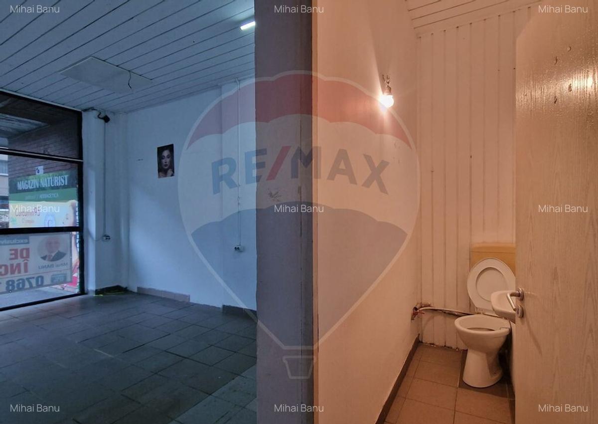 Spa?iu comercial de inchiriat Scriitorilor, strada Cara... - 18