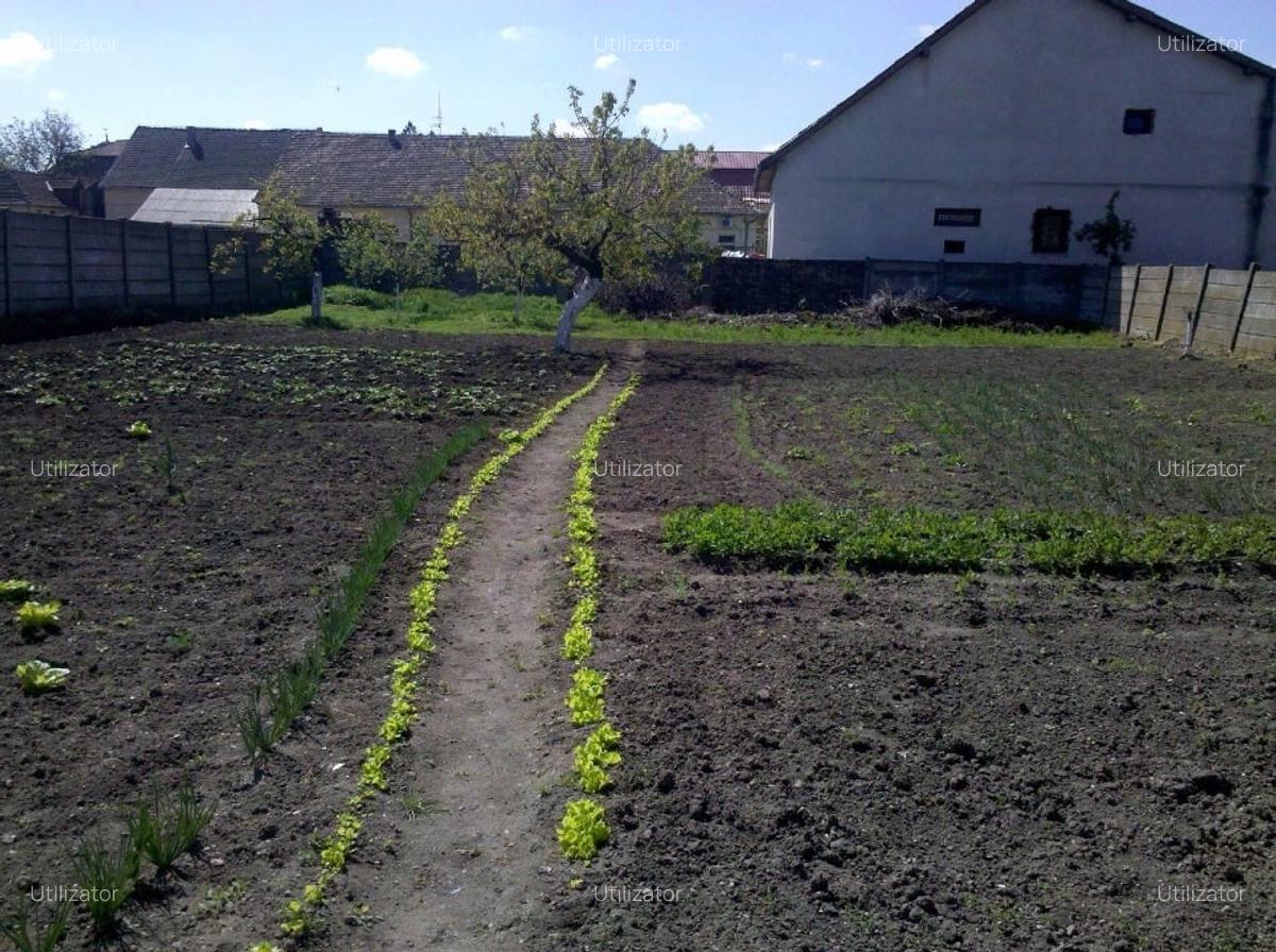 Casa 5 camare + casa de vara + sipod + gradina mare - 9