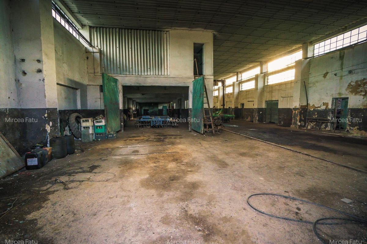 Inchiriere hala pentru depozitare sau productie  – Poarta Alba - 4