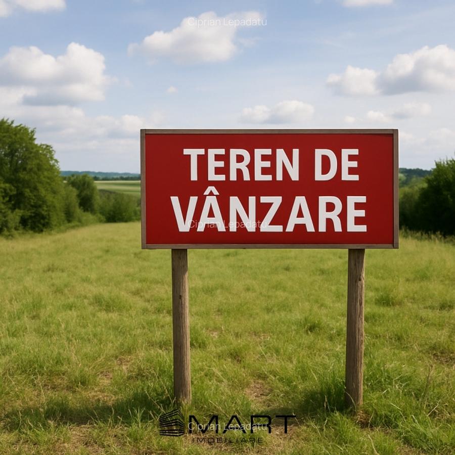 Teren intravilan zona Saliste - 1