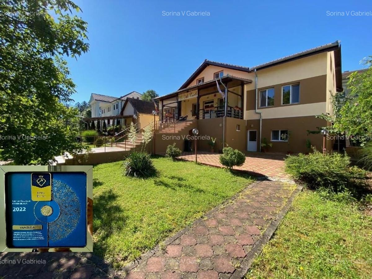 Pensiune functionala arhitectura deosebita Buzias - 1