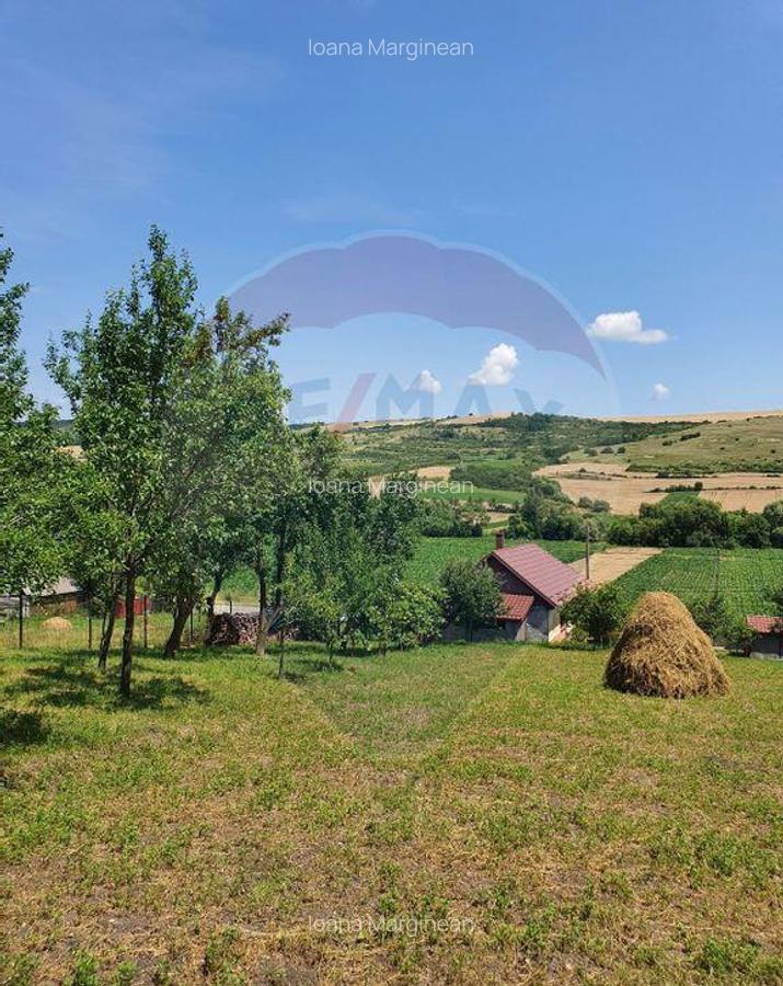 Casa de vanzare in DABACA / teren 2040 mp - 4