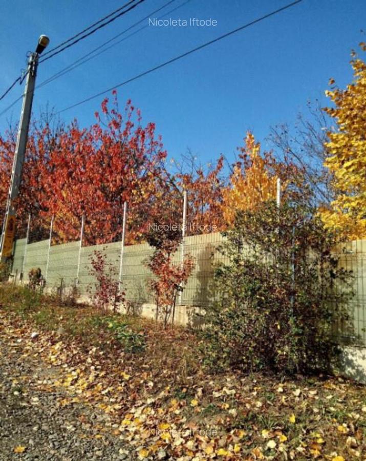 Teren intravilan 500 mp Rediu la 150 ml de soseaua principal - 2