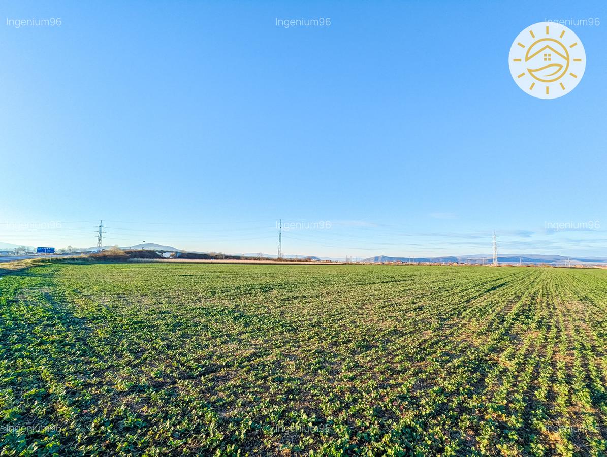 Teren intravilan 22800mp la 2km de Parcul Industrial Prejmer - 3