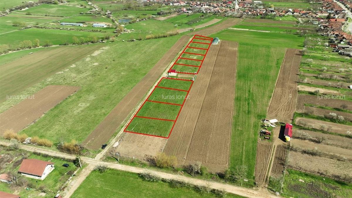 Teren Construcții intravilan de 600 mp, în Ineu - 2
