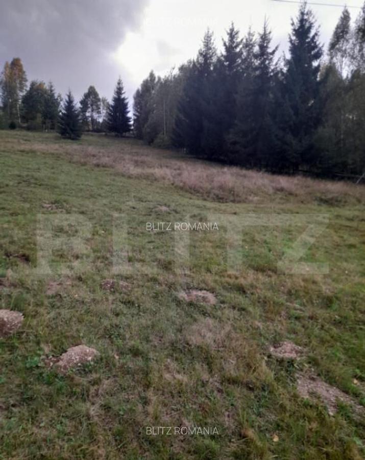 Teren intravilan de vanzare, 2280 mp, Vatra Dornei - 9