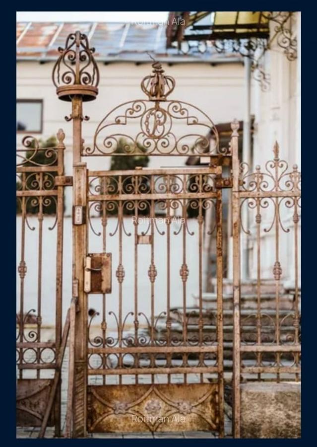 Vila istorica de patrimoniu - 160 mp/teren 262 mp - 9