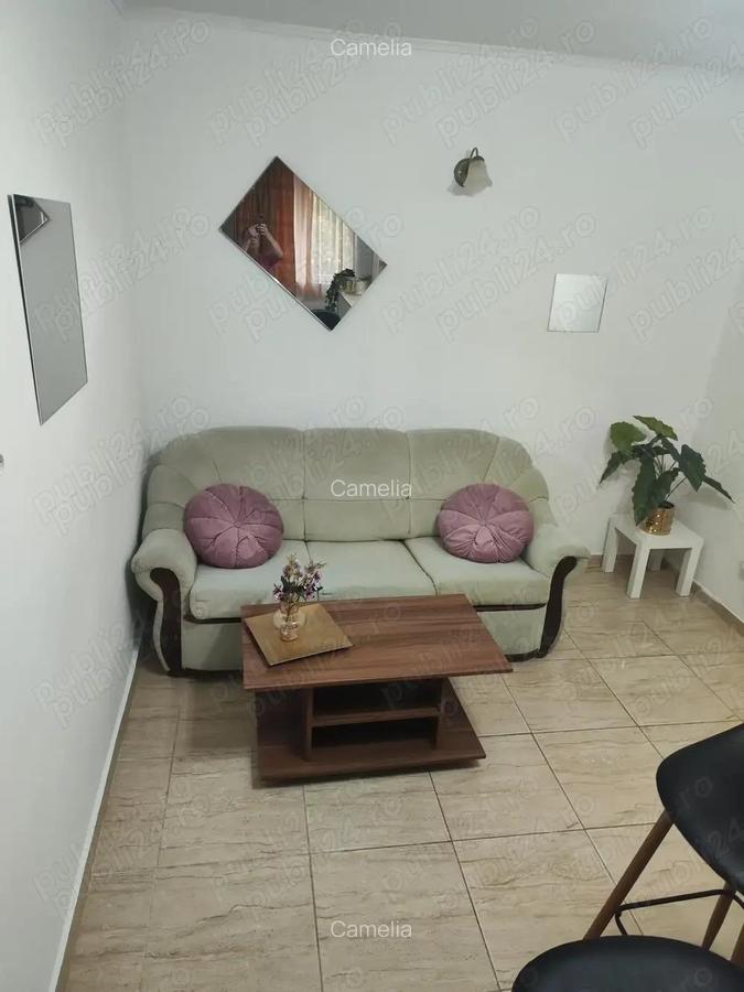 Apartament cu 2 camere cu curte ?i parcare zona Sagului, Timi?oara - 5