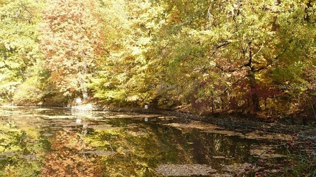 Teren Sovata, casa de vacanță sau pensiune - 2