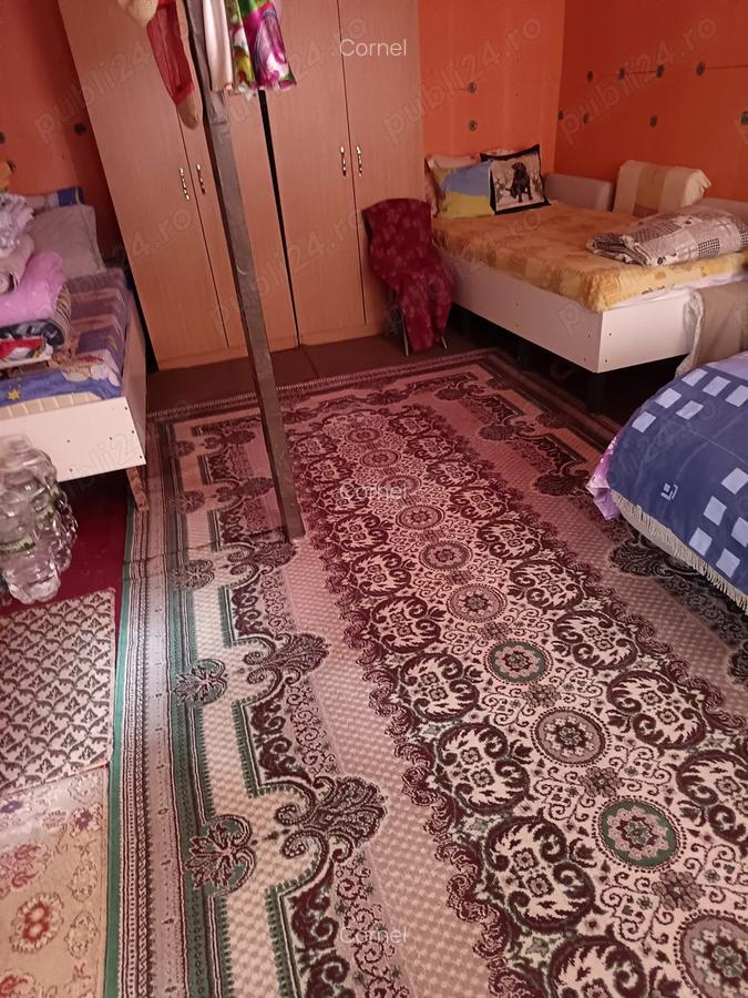 Vind cabana de vacanta in jud.Arges - 9