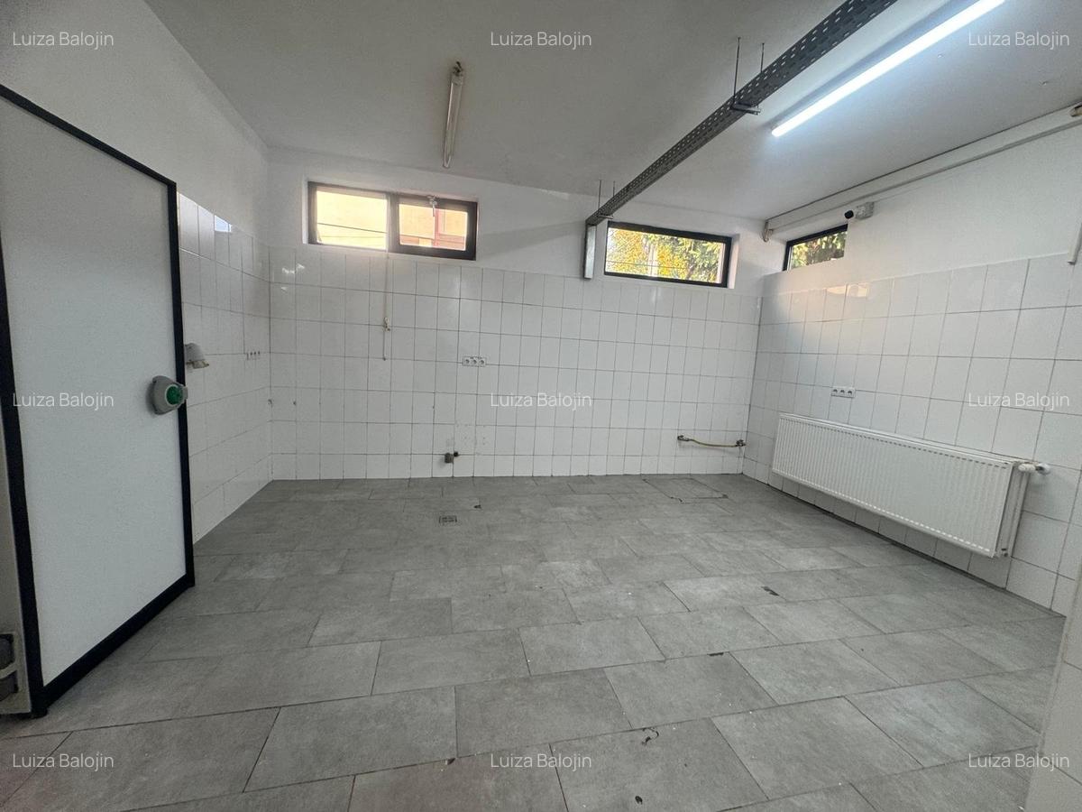 Spatiu cu alta destinatie Lipovei !!! - 8