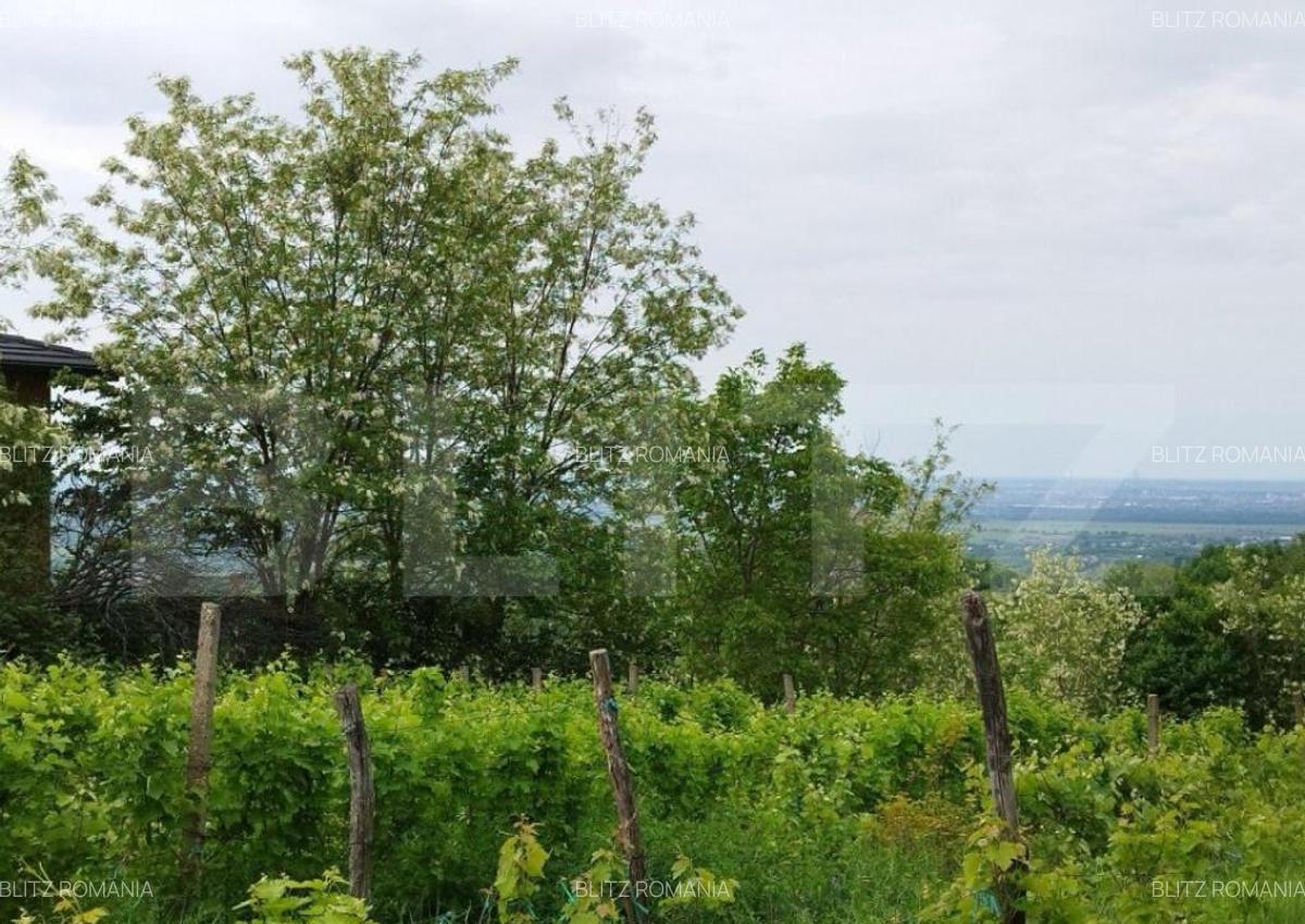 Casa individuala cu crama, teren 6700mp, Plopu - 3