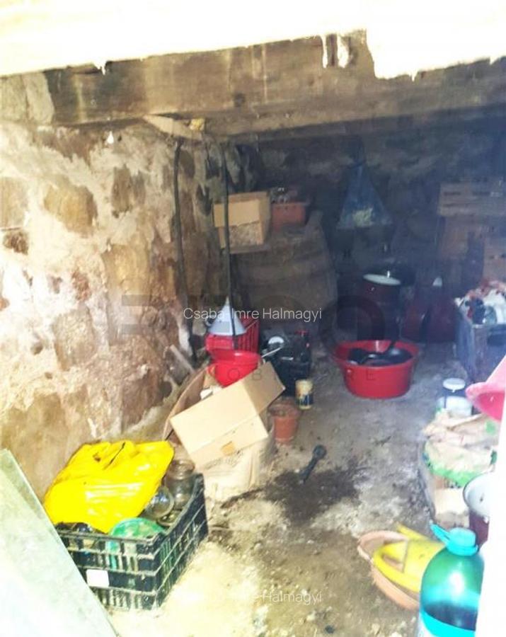 Casa cu 2 camere si teren mare in Ginta. - 17