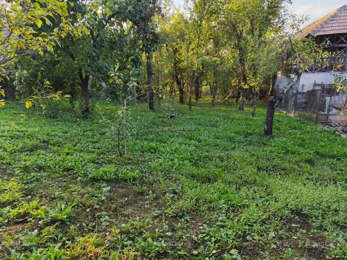 Casa de vanzare - teren 2357 mp in comuna Pietrari - 8