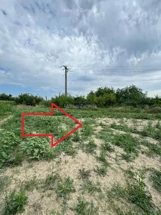 Teren 7.200 mp, de vanzare, loc. Rusi Ciutea, com. Letea Veche, jud. Bacau - 9