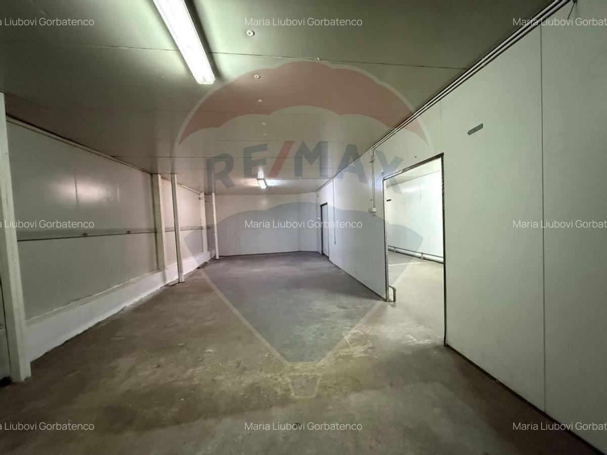 Spatiu industrial de inchiriat Pantelimon | Congelator | Refrigerat - 2