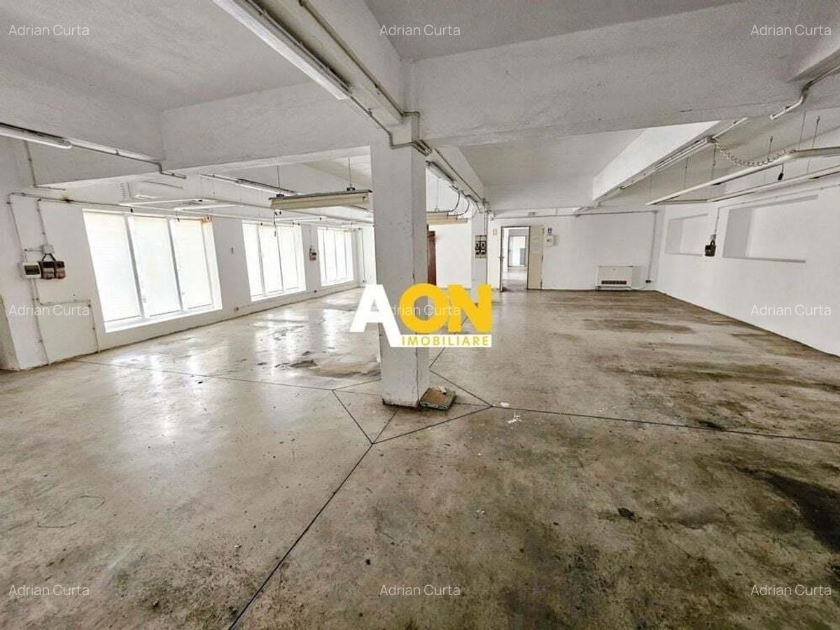 Spatiu industrial pentru productie sau depozitare, 1600 mp, Sebes - 11