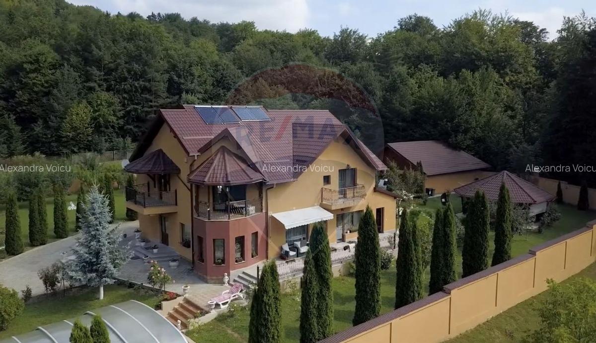 Oportunitate rara in Romania! Complex turistic Poiana Sarata si padure - 10