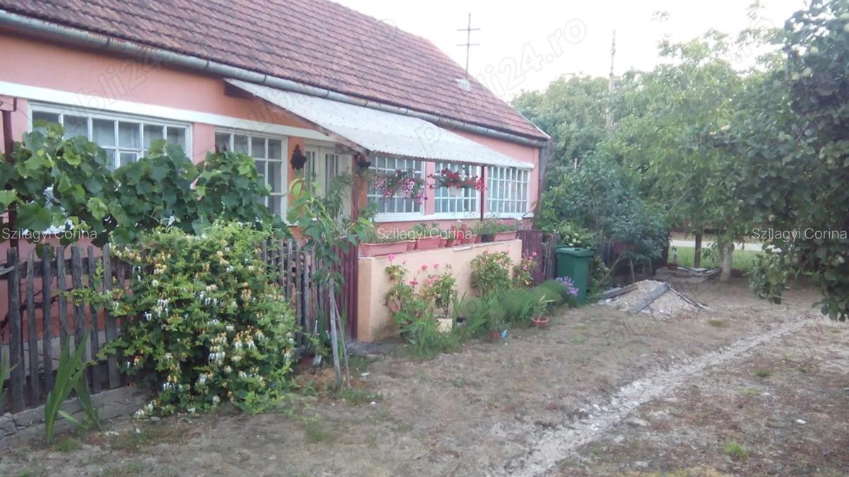 Casa la tara - 3