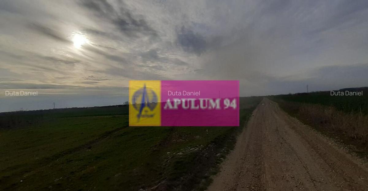 Parcela langa padure in Ilfov - 13