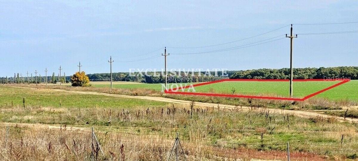 Teren Construcții intravilan de 91000 mp, în Snagov - 4