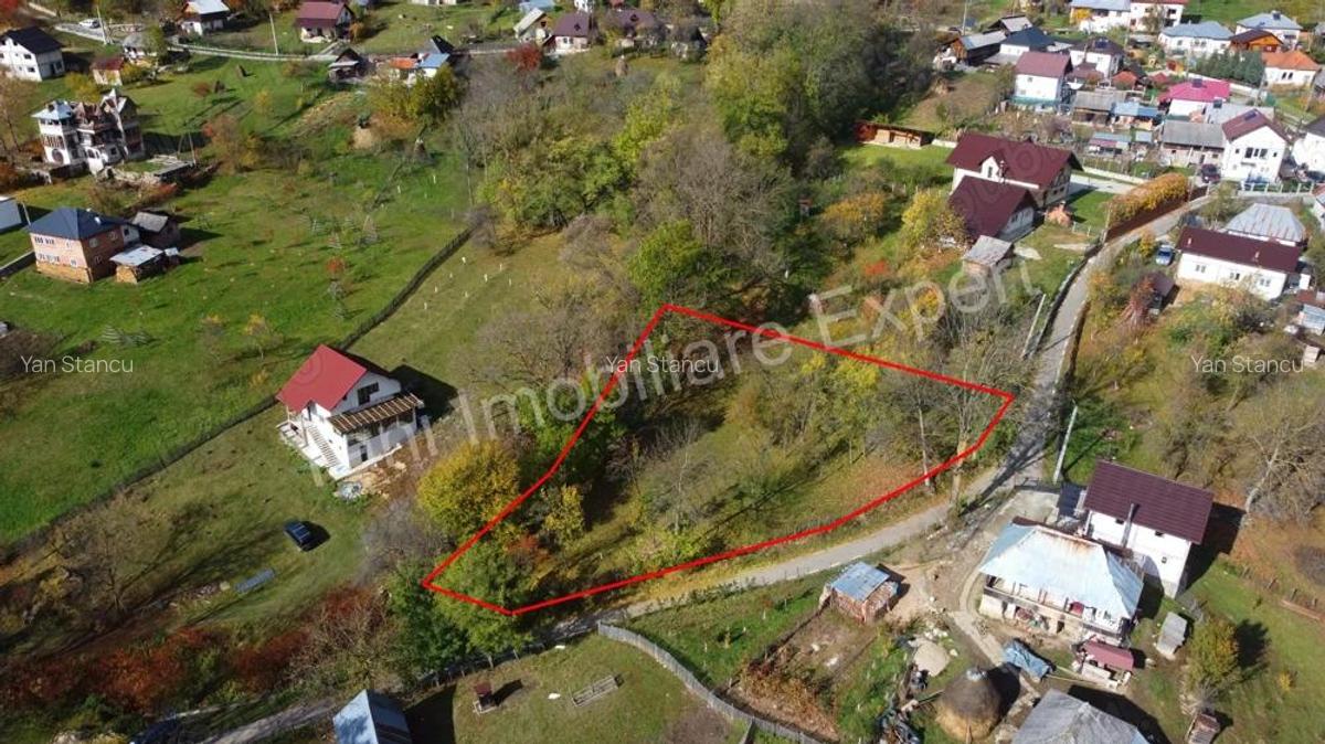 Teren de vanzare in comuna Arefu, jude? Arge?. - 16