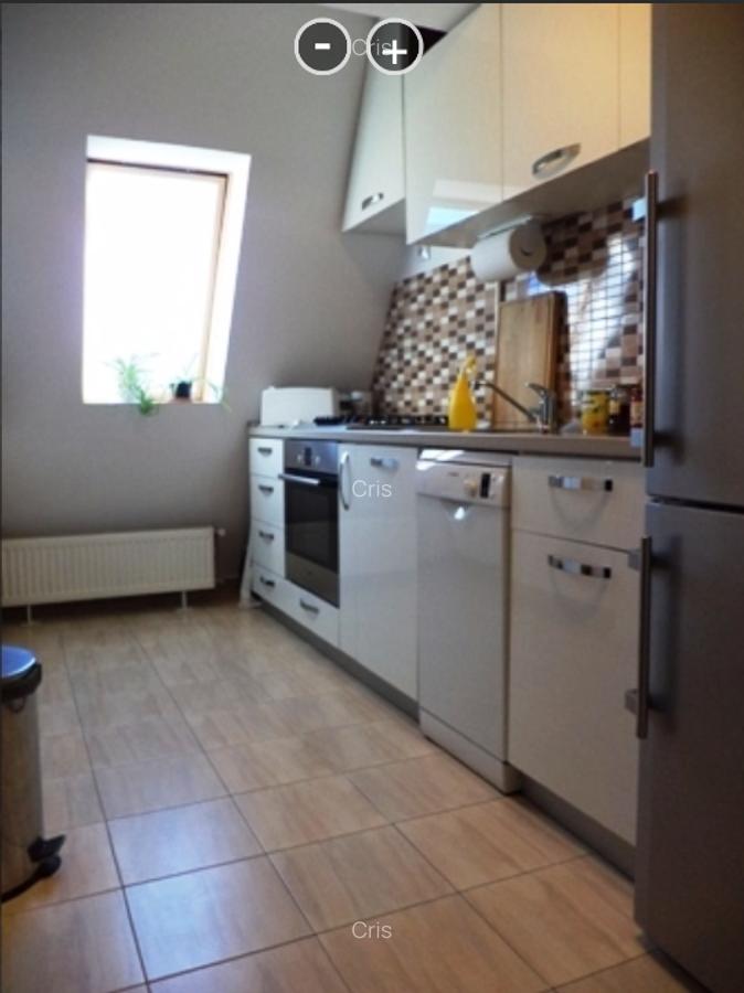 Apartament deosebit intr-o zona deosebita, luminos, terasa 25mp cu intimitate - 7