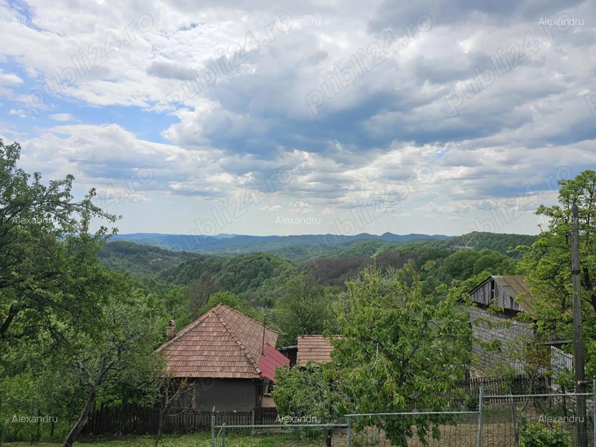 Vand proprietate cu 2 case ?i curte terasata in varful dealului, la 20 min de Breaza - 2