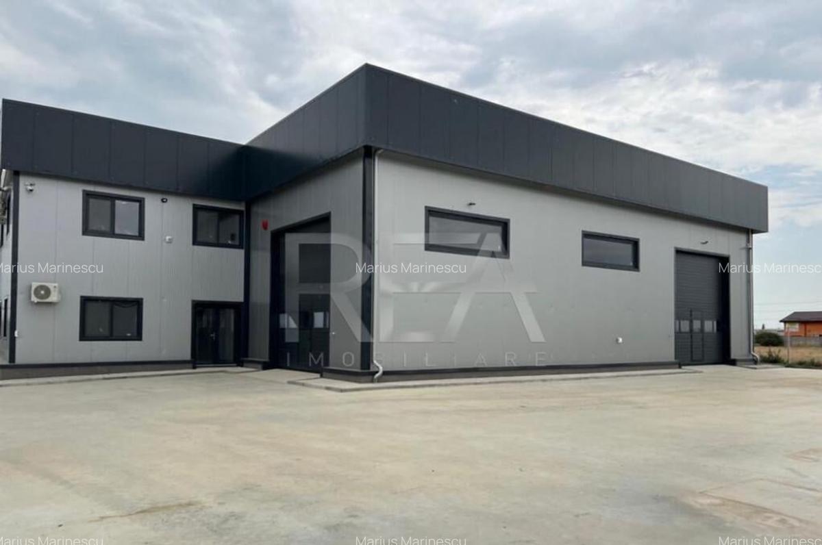 Hala de inchiriat in Domnesti / Centura - 6