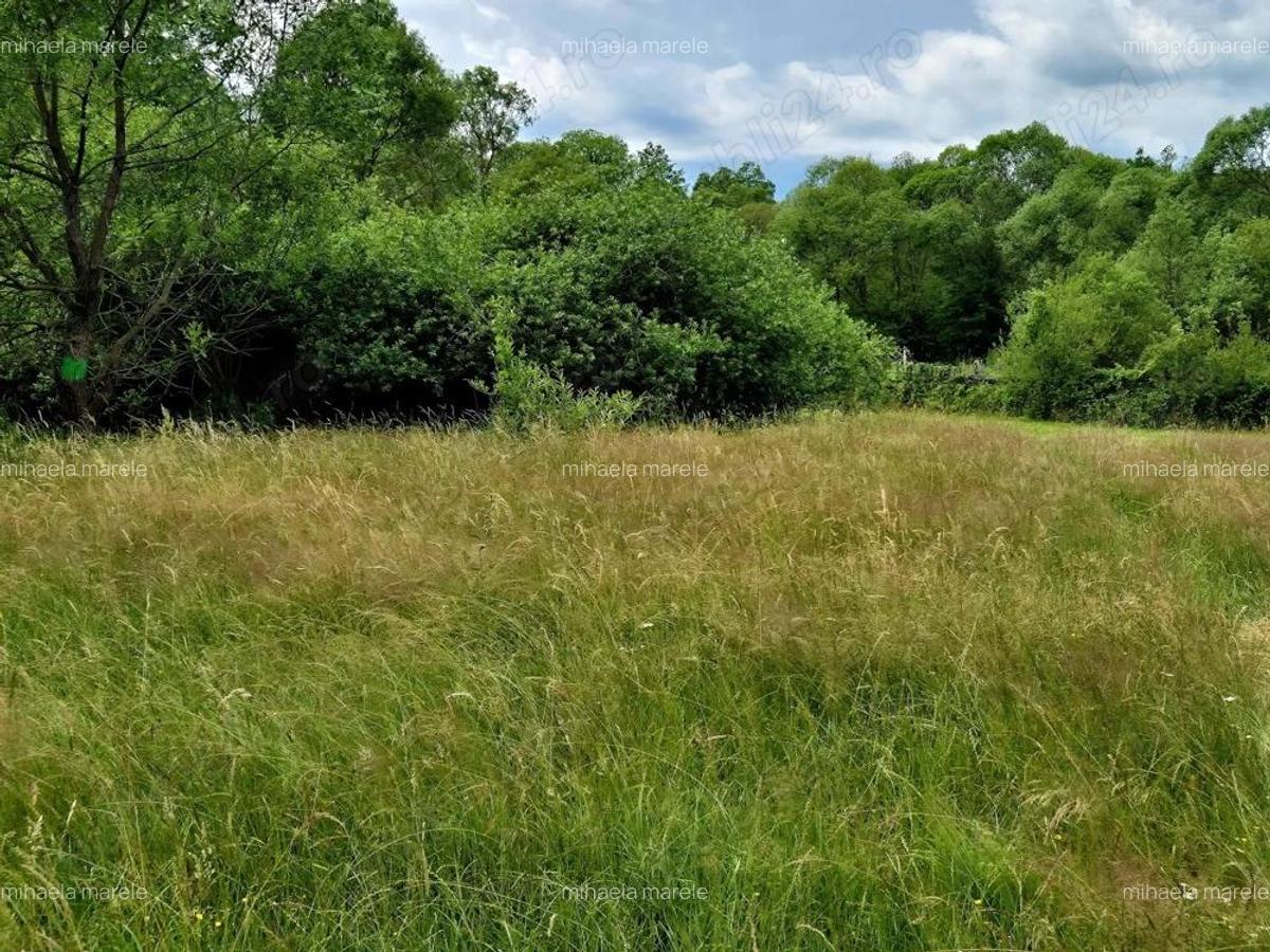 Comision 0%, teren 900 mp, Sinca Noua - 5