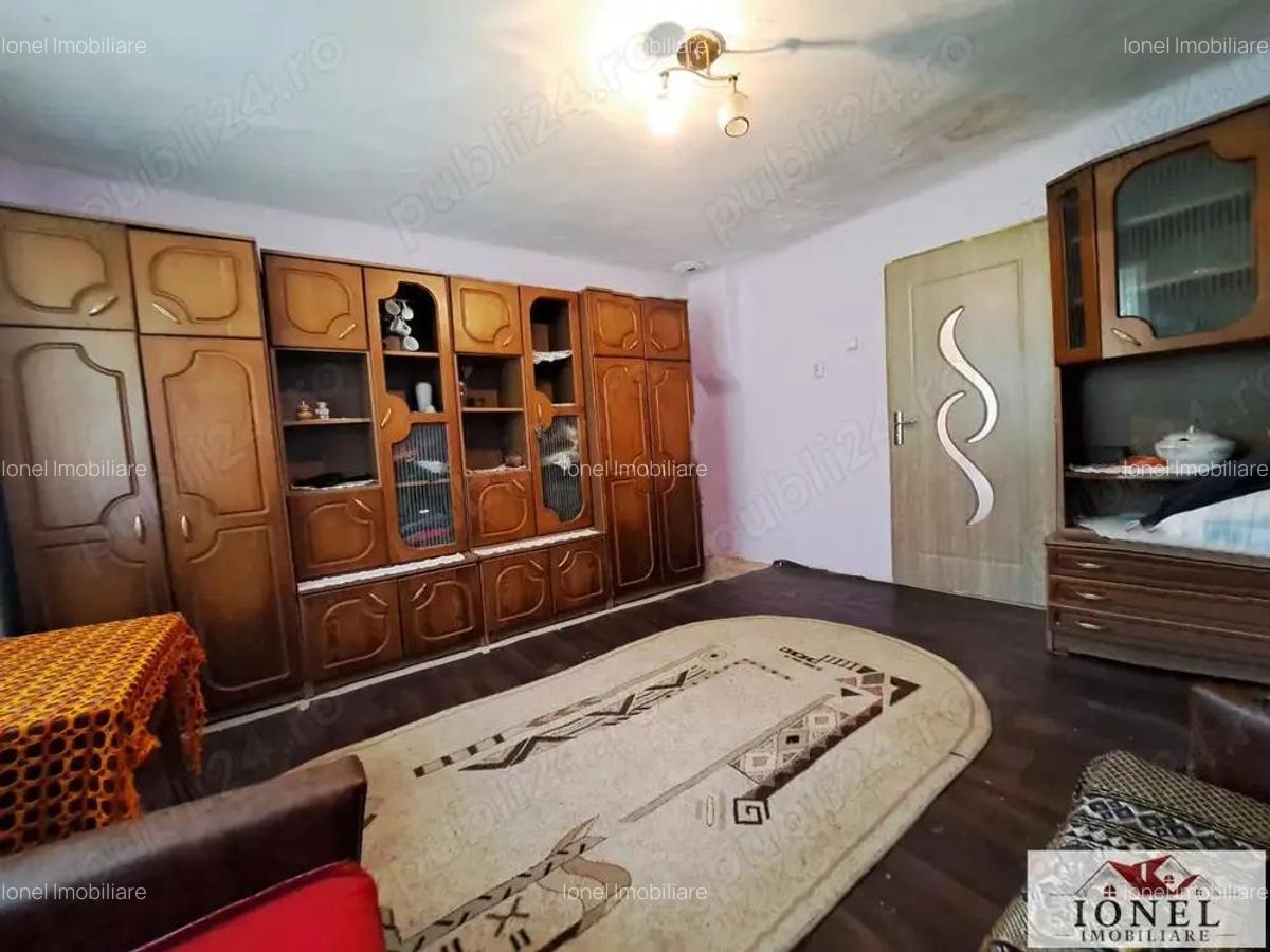 Casa de vanzare in zona Vintu cu 10.790 mp teren - 6