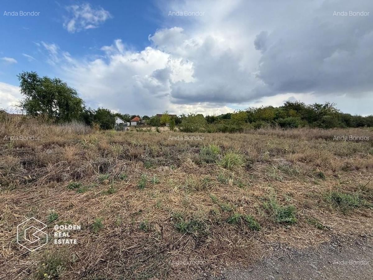 Teren intravilan 538 mp, curti constructii, Sacalaz, Tims - 1