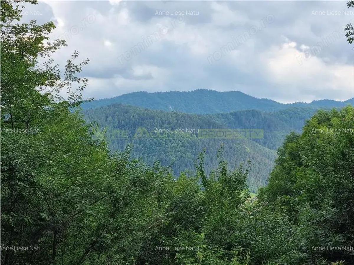 De vanzare: Apartament 3 camere premium Belveo - 20