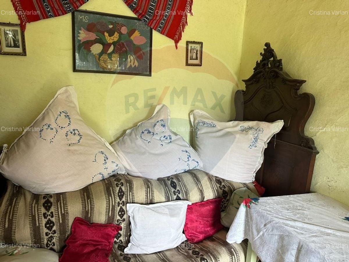 Teren intravilan 4.779 mp + casa si anexe - Girov, Neamt - 6