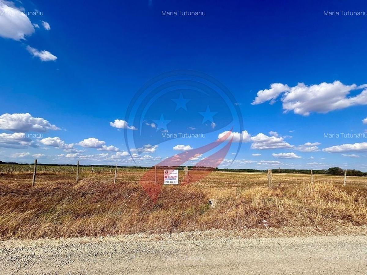 Teren 30.500 mp de vanzare in Livezi, Dolj - 1