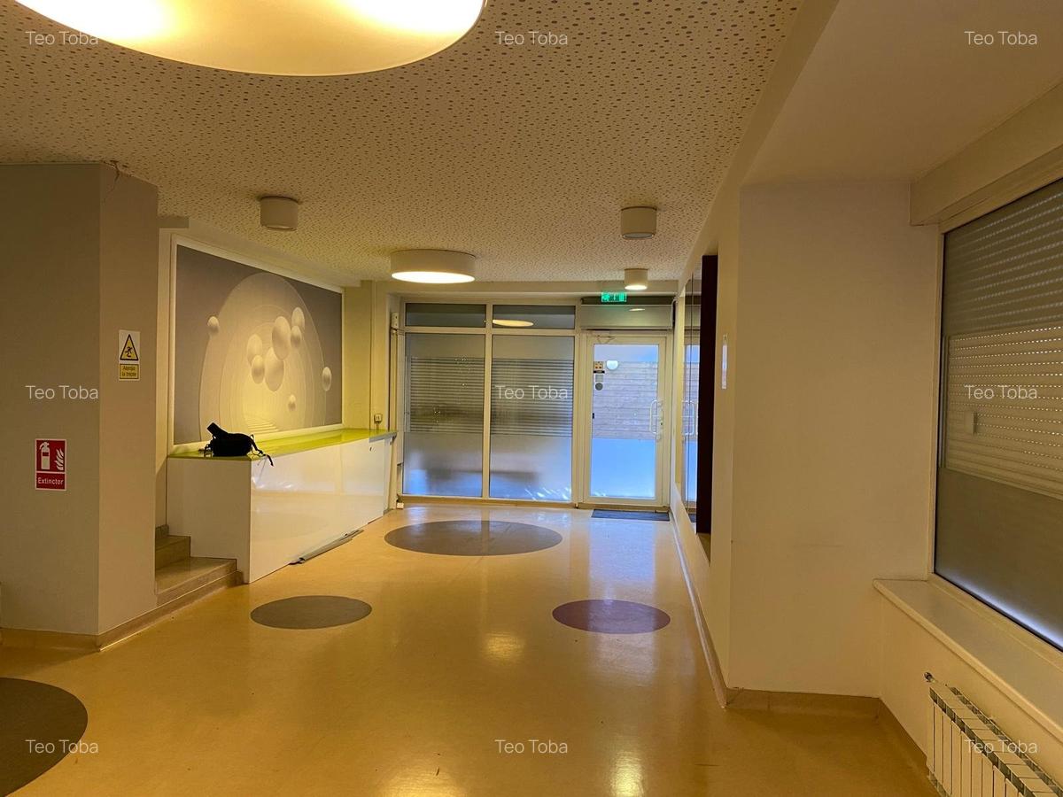 Inchiriere spatiu comercial P+1  230mp curte terasa ideal investitie Aviatorilor - 5