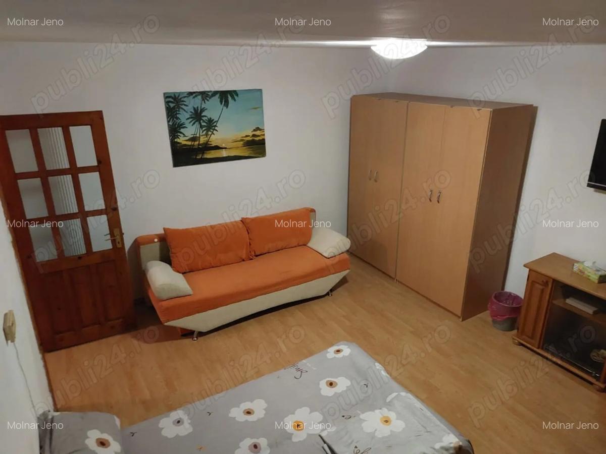 Dau in chirie apartament o camera, bucatarie 40 mp - 2