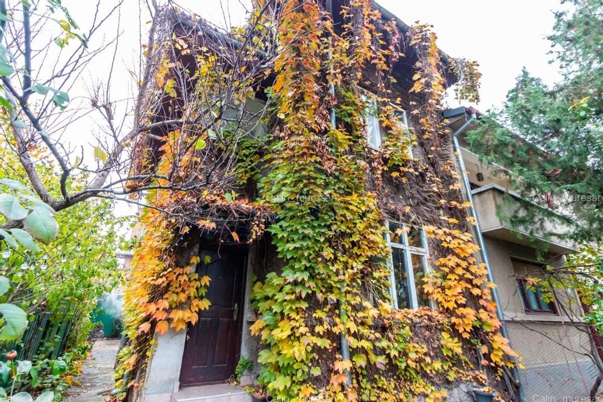 Vila Individuala 5 camere Domenii-Agronomie 178mpu Parcare Metrou - 1