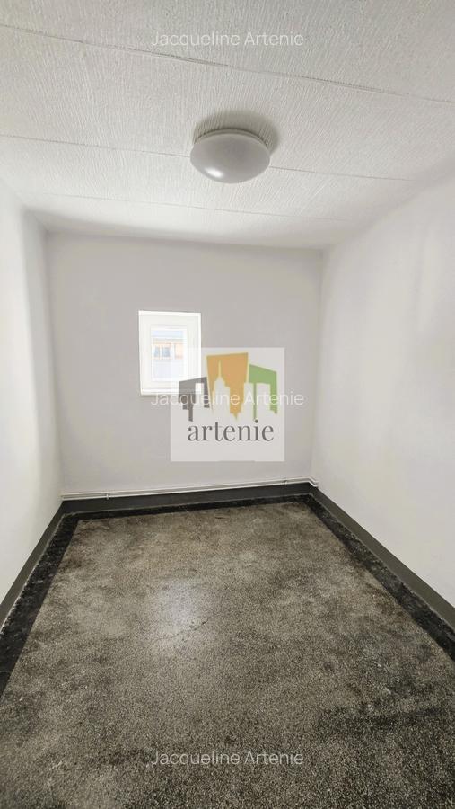 Pache Protopopescu - Plantelor apartament in vila - 10