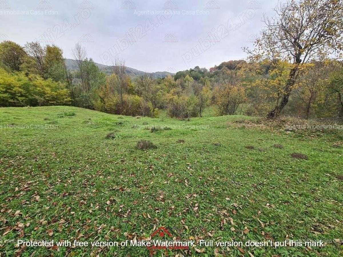 Teren intravilan in Provita de Jos 14.340 mp-- 90.000 e - 2