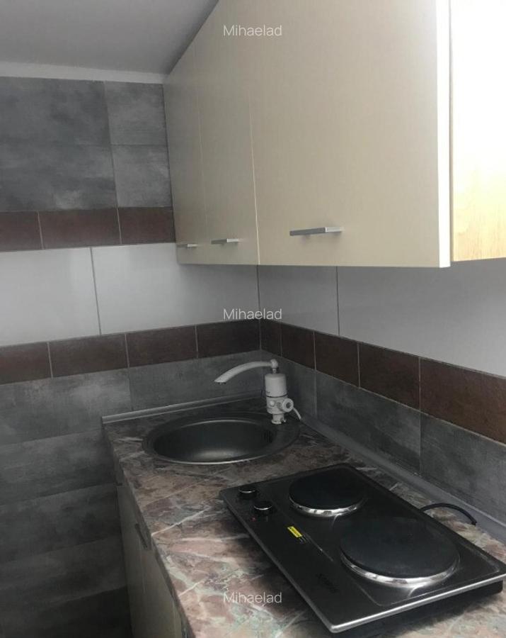 Minigarsoniera centru civic Iasi - 3