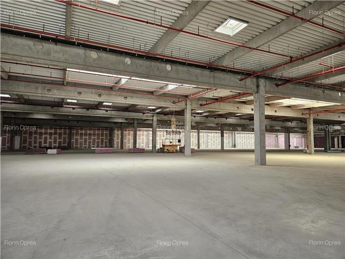 Spatiu Industrial - 4000 mp - Logistica - Productie - Depozitare - Distributie - 2